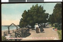 On the Cliffs, Caroline Bay, Timaru, N.Z. [The Arthur A. Ware Series]