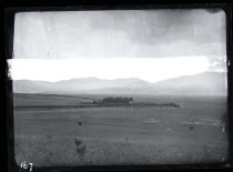 Melville Downs distant