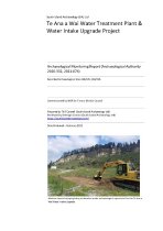 Te Ana a Wai WTP : archaeological monitoring report