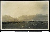 A view across the Godley River