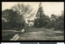 Gardens, Timaru, NZ.