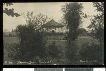 No.546. Alexandra Square, Timaru N.Z.