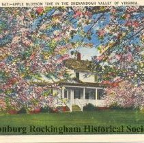 Apple Blossom Time in the Shenandoah Valley