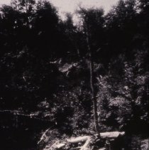 Rawley Springs. Cave Rock.