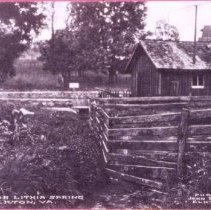 Bear Lithia Spring, north of Elkton, Va.