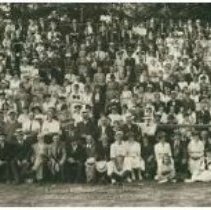 Niagara District Grape Growers