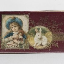 Autograph album containing Littleton girls' signatures, cover; 1888-1894