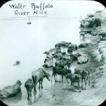 lantern slide