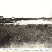 Old Landing Wharf with schoone