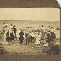 Women on Bird Island