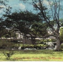 The Moorings,the Japanese Gard