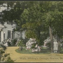 Walk, Whiting's Cottage, Marion, Mass.