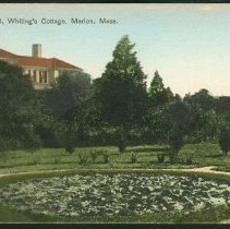 Lilly Pond, Whiting's Cottage, Marion, Mass.
