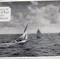 The Story of Buzzards Bay's Monopoly - of Health