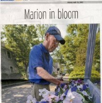 Marion in bloom