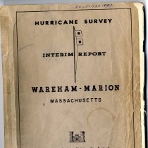 Hurricare Survey Interim Report