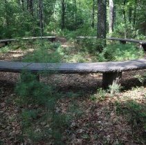 Memorial Forest offers alternative to conventional cemeteries