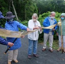 Sippican Lands Trust cuts the ribbon for Osprey March Boardwalk
