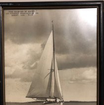 The Seahawk of Marion