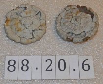 Ornament, Watercraft