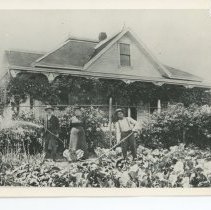 Hermann Contradt home