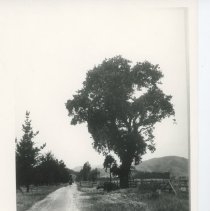 Hicks Valley Road along DeLong Ranch
