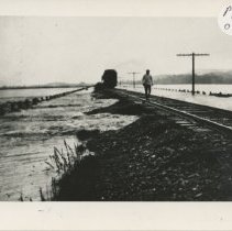 The 9 o'clock train going south,