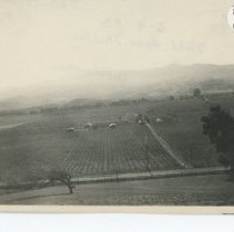 Orchards west of Novato, Hicks Valley Road