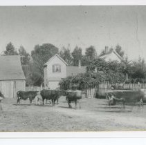 Connell family ranch