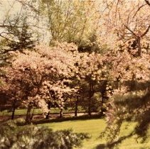 Lakeshore Rd. E. House