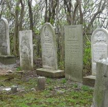 Wilson family grave site in Oakville/St. Mary's Pioneer Cemetery