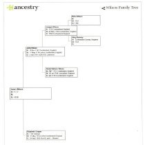 Isaac Wilson Family Tree