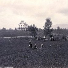 470. Stevens House, Lake Placid, Adirondacks