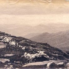 501. Whiteface Mountain - Summit