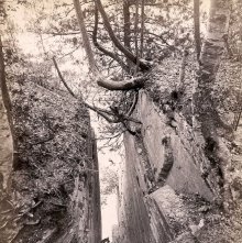 584. Smuggler's Pass, Bluff Point