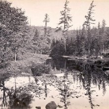 Marion River, at Bassett's Camp
