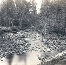 Marion River, at Bassett's Camp