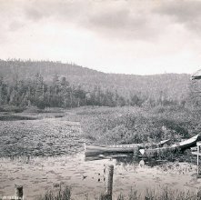 Marion River, above Steamboat Landing