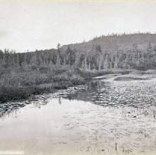Marion River, above Steamboat Landing