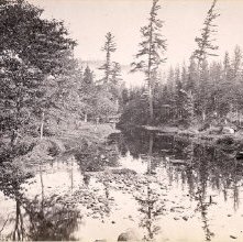 Marion River, at Bassett's Camp
