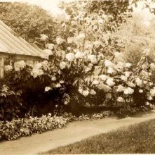 Garden of the Coolidge Home