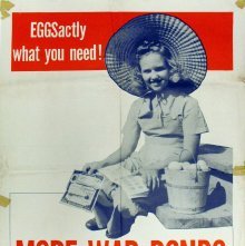 EGGSactly What You Need!