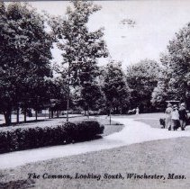 The Common Looking South