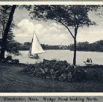 Wedge Pond