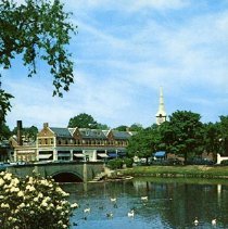 Looking Across Mil Pond