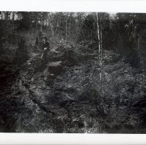 Ledge Westerly sid of Shaker Glen