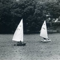 Sailboats