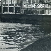 Flood of 1979