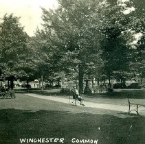 Winchester Common