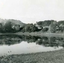 Chesterford Road and Winter Pond